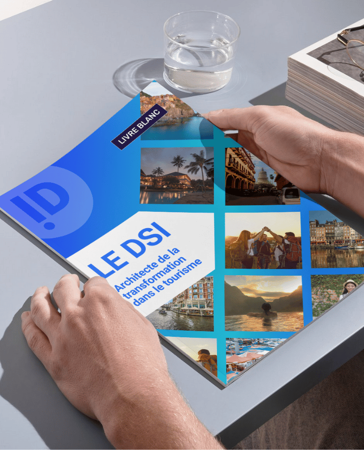 livre-blanc-dsi-1